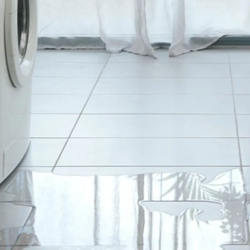 Appliance Leak Cleanup in Downers Grove, IL