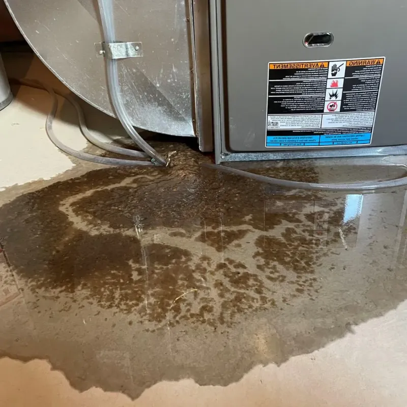 Pipe Burst and Leak Restoration in Downers Grove, IL